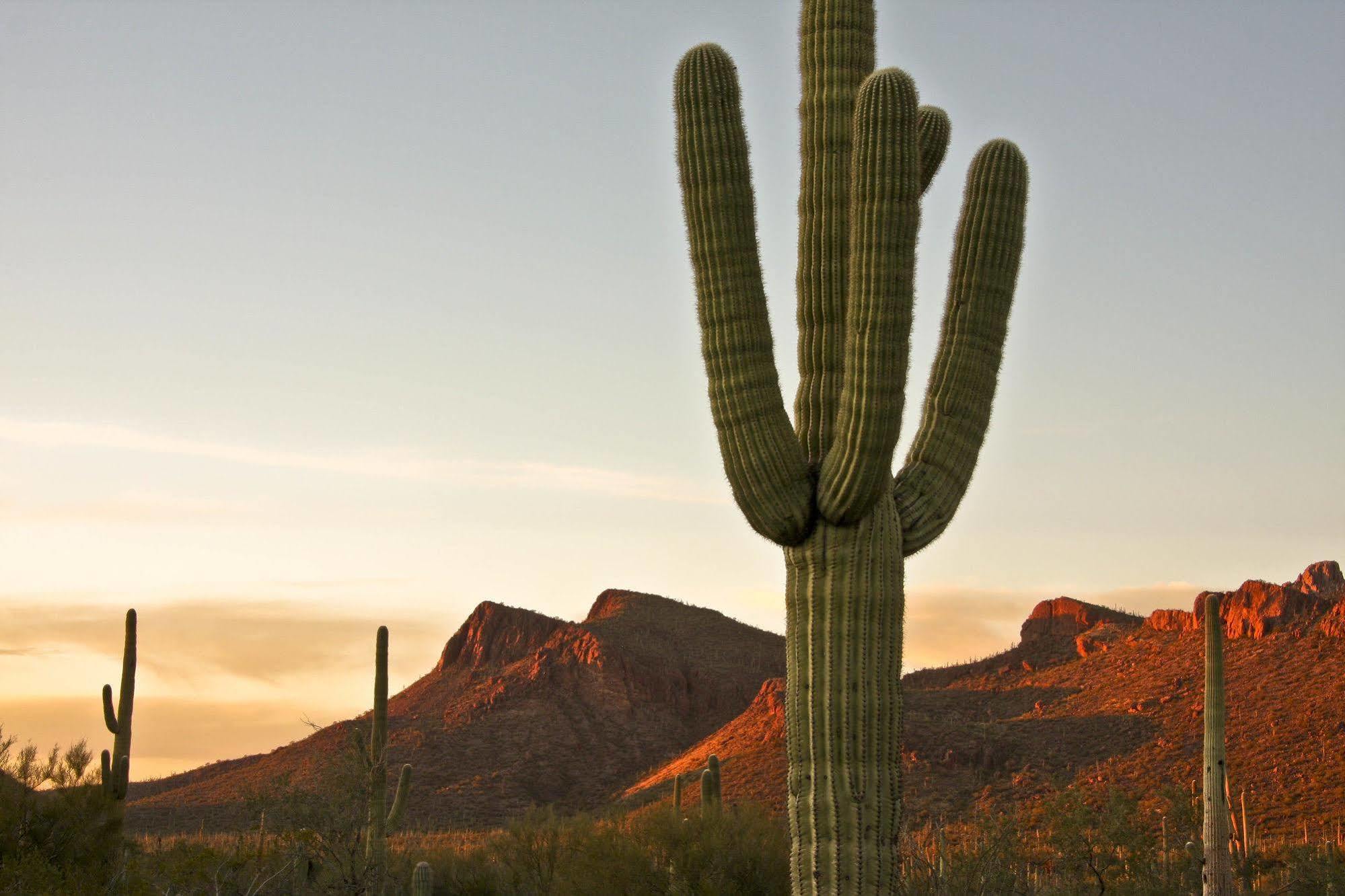 Tucson Marriott University Park Zewnętrze zdjęcie